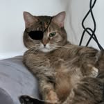 Jack Dagger - @indekerousq9 - Instagram