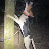 Jack Daigle - @jack.daigle2 - TikTok