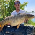 Jack D'alessandro - @j_a_c_k_9_5 - Instagram