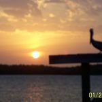 Jack Damron - @jack.damron.1 - Instagram