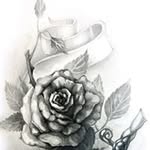 Stephen Ziebart - @jack_daneils_420 - Instagram