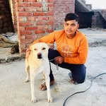 jack_danger_hr_0001 - @jack_danger_hr_0001 - Instagram