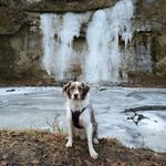 Jack Danks - @danks863 - Instagram