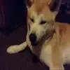 jackdanksgates - @haxed2017 - TikTok