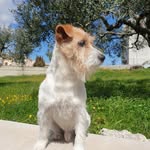 D♥a♥n♥t♥e♥ - @jack_dante_russel - Instagram
