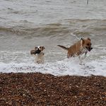 Jack Darlow Stearn - @kolaman832023 - Instagram