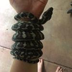Jackson Darlow - @darlowjackson - Instagram