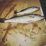 Jack dauer - @jan_kens - Instagram