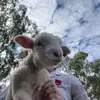 Jack Davy - @jack.davy29 - TikTok