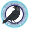 jackdawtrades - @jackdawtrades - TikTok