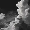 Jackson Dayton - @jackson.dayton2 - TikTok