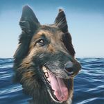 Jackson DeCourcy - @jackson_decourcy - Instagram