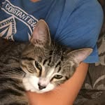 Jack Deems - @jack_deems - Instagram