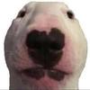Jack Deer - @jackdeer - TikTok
