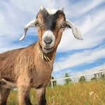 Jack Deese - @goproswagjack - Instagram