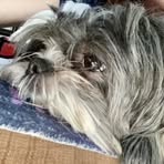 Jack Defilippo - Facebook