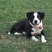 Jack Degnars - Facebook