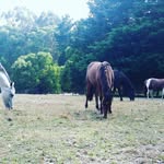 Jackie Karen - @jackie_de_haan - Instagram