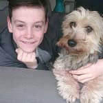 jack dekker - @jack_de_hond_ - Instagram