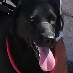 jack - @jack_delfino_curioso - Instagram