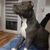 Jack🐶Adelka💗 - @jack_a_adelka - TikTok