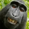 jackdelp12 - @jackdelp12 - TikTok