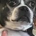Jack DeMarco - Facebook