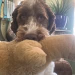 Jacklyn Murphy-Demaree - @jacklynmurphydemaree6 - Instagram
