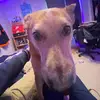 jack demars - @jack__demars - TikTok
