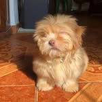 @jackdementa - Instagram
