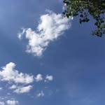 Jack Deng - @jackrrmartin - Instagram