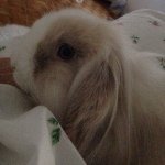 Jack Denman - @jack.denman - Instagram