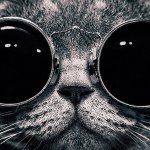 Jack dern - @dj_rev_ - Instagram
