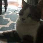 Jackson Deskins - @deskinsjackson - Instagram