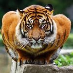@jack.deutsch - Instagram
