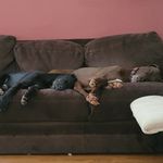 Jack Ray Deutsch - @jrd1431 - Instagram