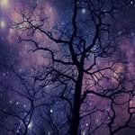 Jack Dexter - @jackdexter508 - Instagram