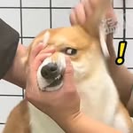 Jack Diao - @diao.jack - Instagram