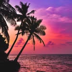 Jack - @_jack_dickerson_ - Instagram