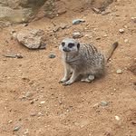 Jack Dicker - @jackdicker2 - Instagram