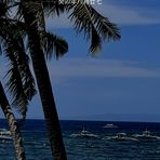 Jack Dier - Facebook