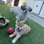 Jack Dierks - @jack.dierks.7 - Instagram