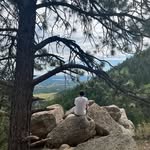Jack Dierling - @jack_dierling - Instagram
