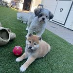 Jack Dierks - @jack.dierks.7 - Instagram