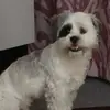 jackdierks725 - @jackdierks725 - TikTok