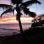 Jack Dietrich - @jack.dietrich - Instagram