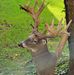 Jack Dietrich - Facebook