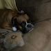 Jack Dietz - Facebook