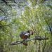 Jack Diffey - Facebook