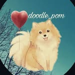 Jack Doodlebug Diggs - @doodle_pom - Instagram